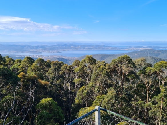 green trees on mountain under blue sky during daytime