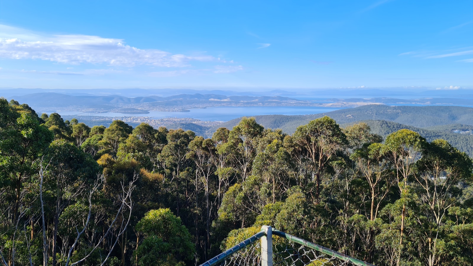 green trees on mountain under blue sky during daytime