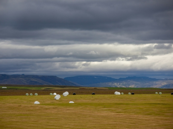 white sheep on green grass field under white clouds during daytime