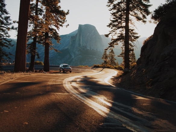 car on curve road surrounded by trees